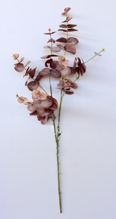 Rust Eucalyptus Stem - Min 3